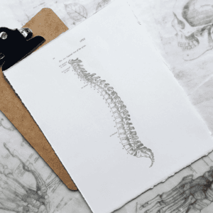 Les différents parcours pour devenir kiné.