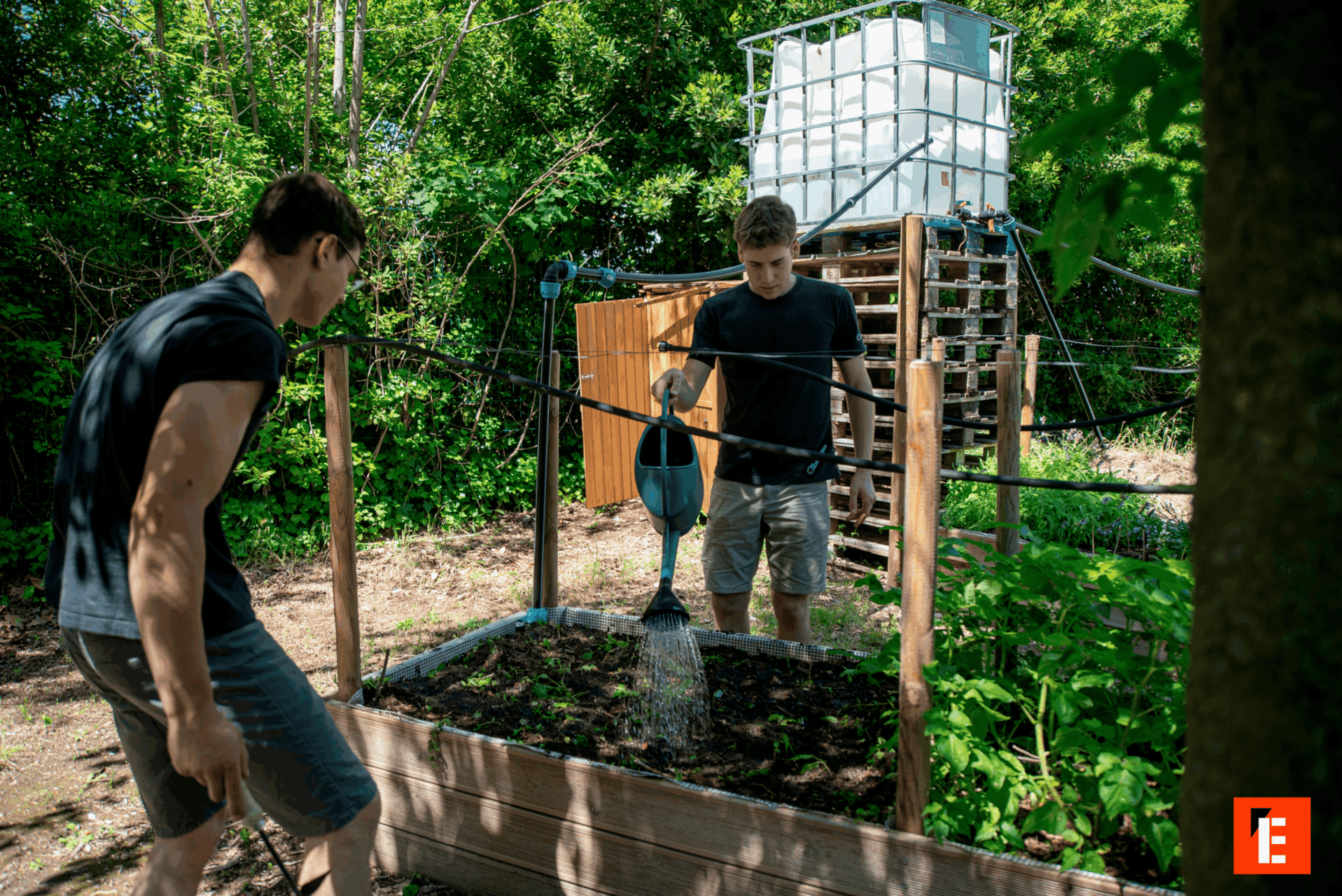étudiants dans un potager ISARA
