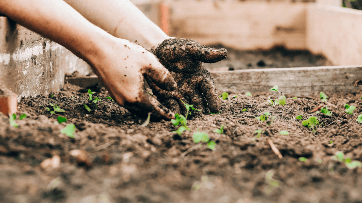 Professions : la revanche des métiers manuels