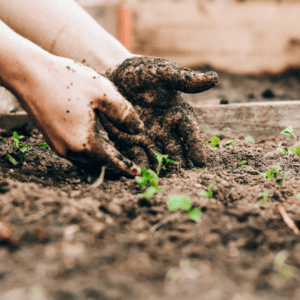 Professions : la revanche des métiers manuels