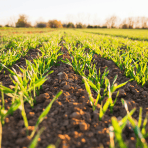 Le rôle des écoles d'ingénieurs face aux enjeux environnementaux