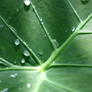 5 pistes pour décrocher un job à impact