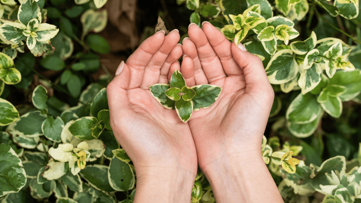 « La maîtrise de l’IA deviendra rapidement un critère de recrutement différenciant »