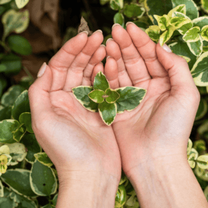 « La maîtrise de l’IA deviendra rapidement un critère de recrutement différenciant »