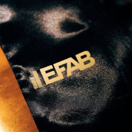 EFAB 2