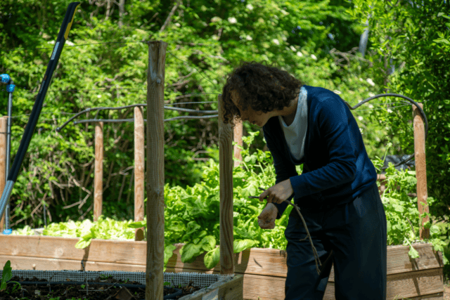 Un étudiant dans un potager sur le campus ISARA