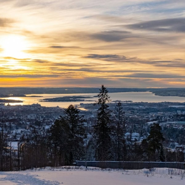Étudier en Norvège : les récits d'étudiants français