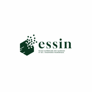 Logo ESSIN