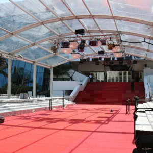 La professionnalisation croissante des festivals de ciné